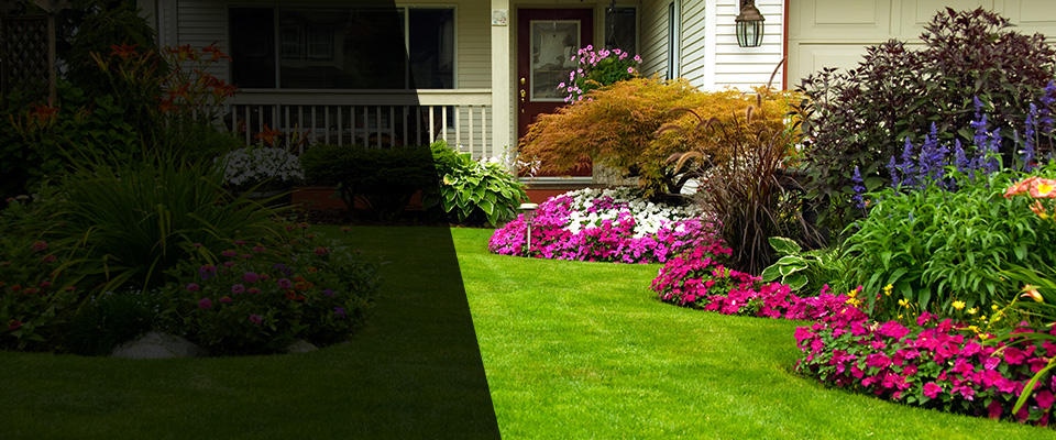 Dorchester Landscapers