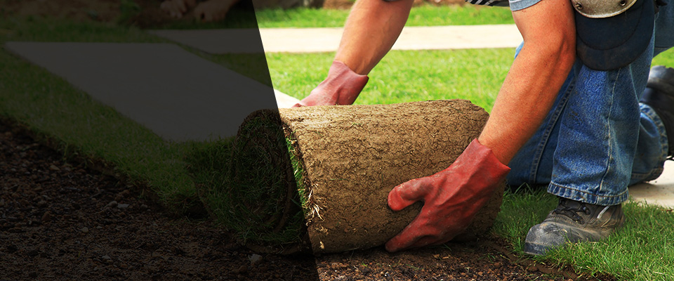 Dorchester Landscapers